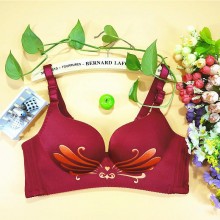 正品天鹅款立体雕花舒适无痕无钢圈内衣健康聚拢侧收副乳文胸套装