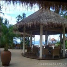 乡村休闲 福建凤飞扬生态农业